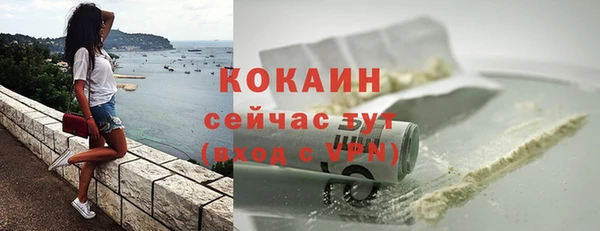 твердый Гусь-Хрустальный