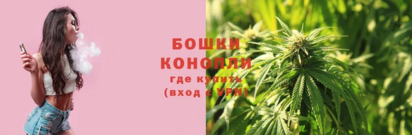 твердый Гусь-Хрустальный