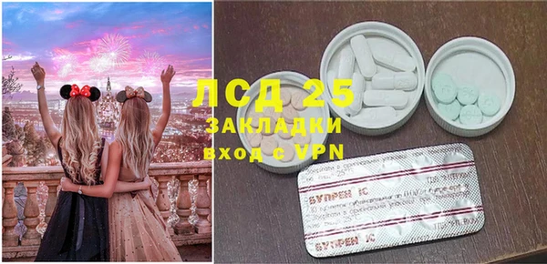 гашик Гусев