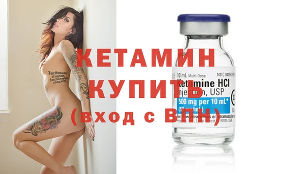 гашик Гусев
