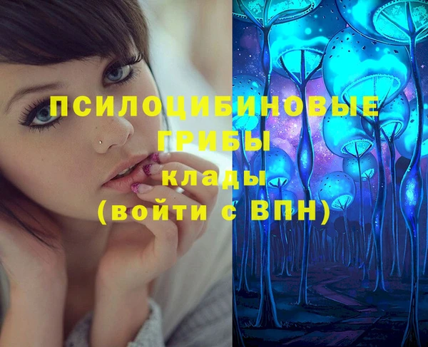 гашик Гусев