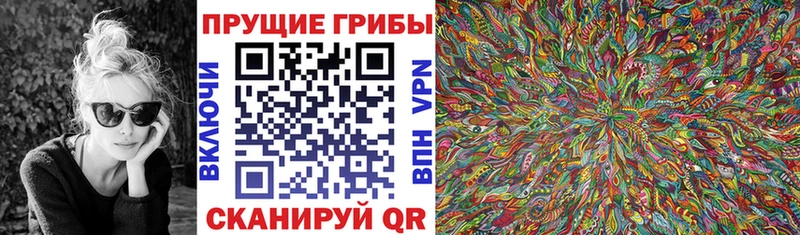 где можно купить наркотик  Омутнинск  Псилоцибиновые грибы Psilocybe 